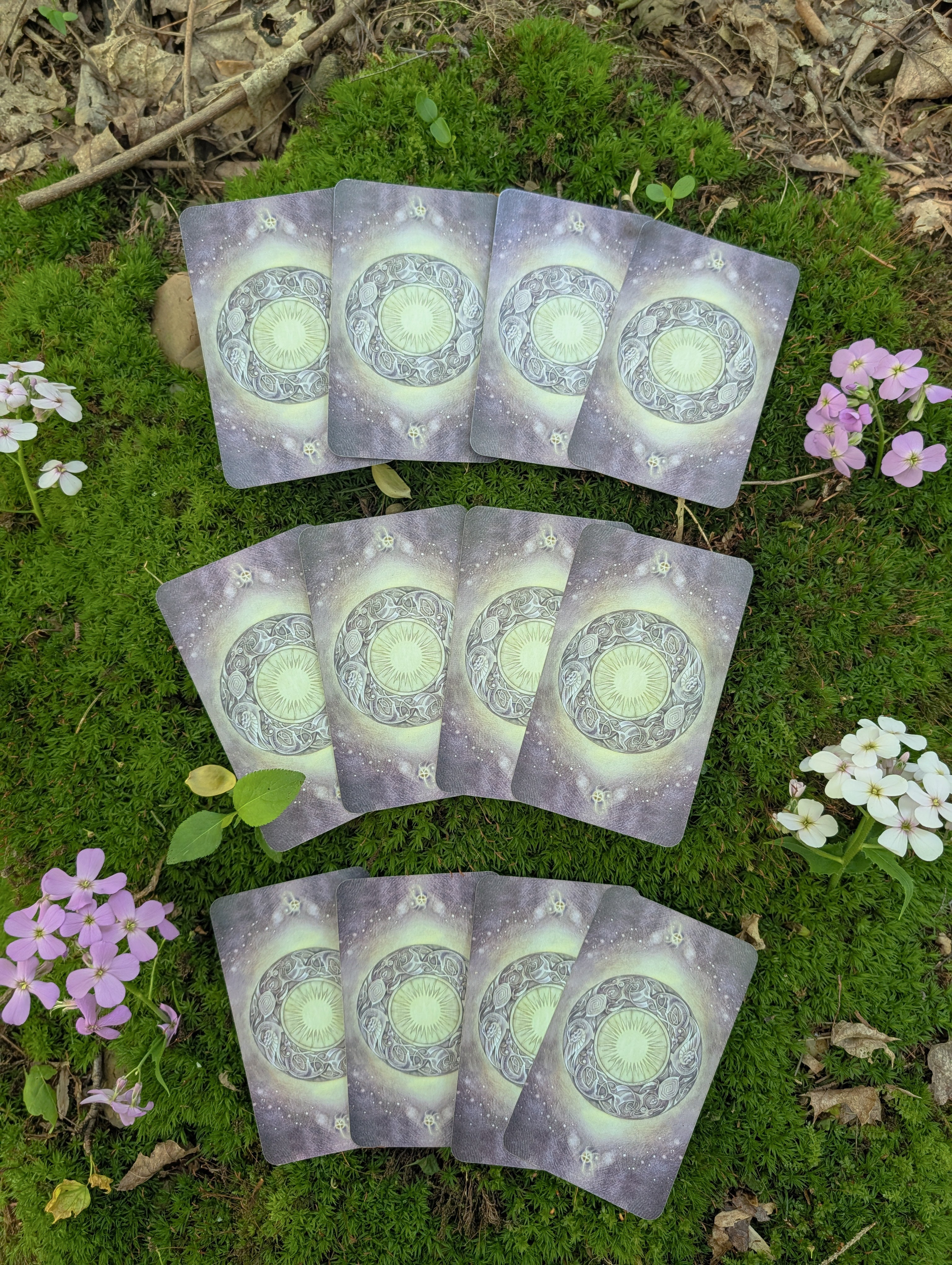 The Twelve Olympians