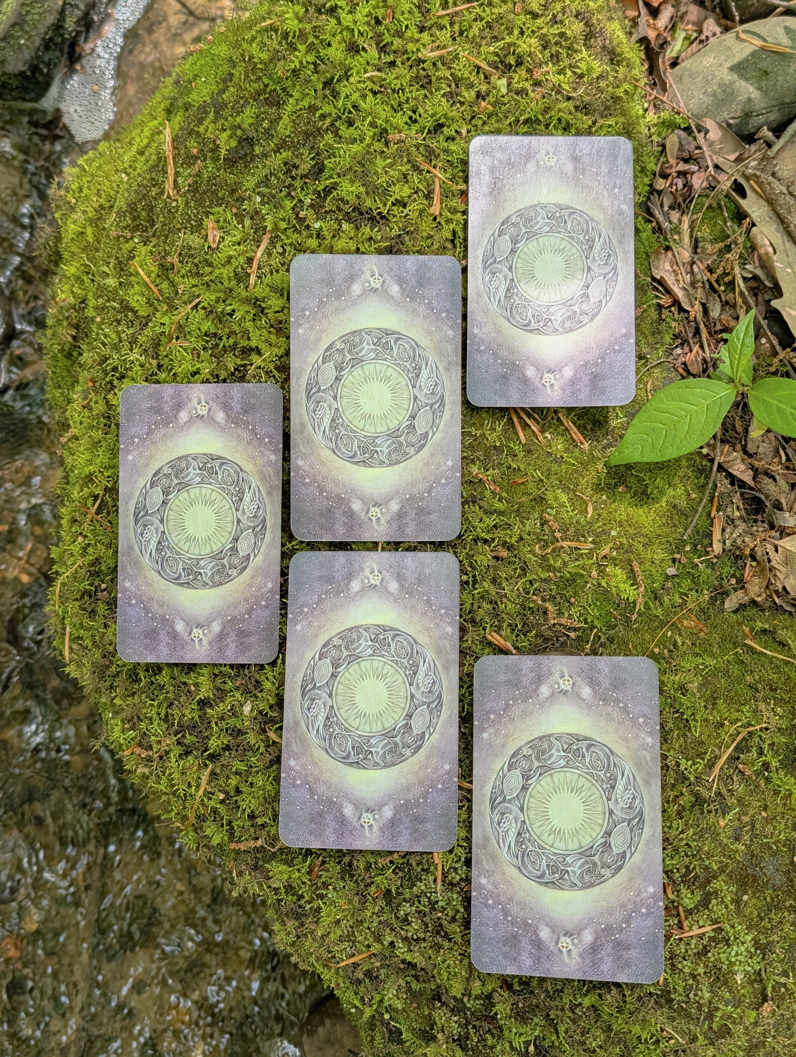 Energy Transformations